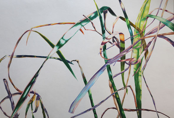2026_Freiberg_38x55cm_Buntstift_Papier_verfügbar