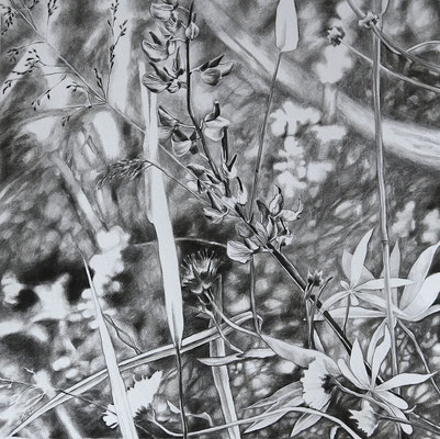 2025_Zetz_30x30cm_Grafit_Papier_verfügbar