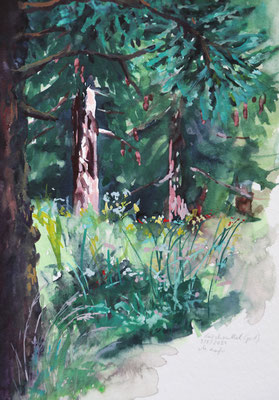 2024_8_3_Lärchsattel_24x17cm_Aquarell_Papier_PleinAirMalerei