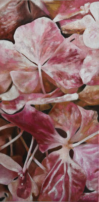 2024_Hortensien_80x40cm_Acryl_ungrundiertes Leinen_verfügbar