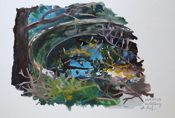 2024_8_12_Betonringtümpel am Sattelberg_17x24cm_Aquarell_Papier