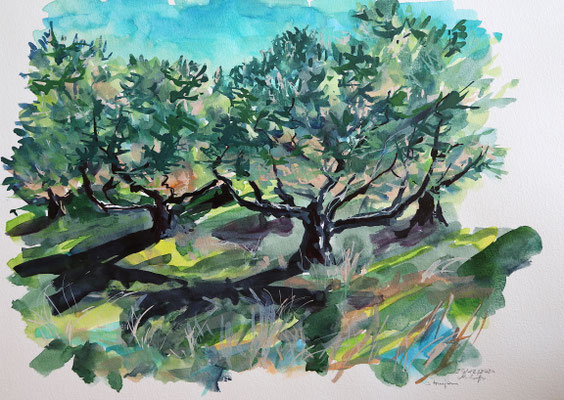 2024_12_25_Olivenhain Strunjan_19x29cm_Aquarell_Papier