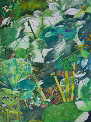 2025_Lärchsattel_39x29cm_Buntstift_Papier_verfügbar