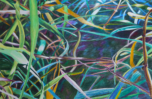 2025_Jungberg_20x32cm_Buntstift_Papier
