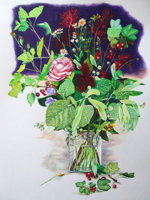 2026_Junistrauss_80x60cm_Buntstift_Papier_verfügbar