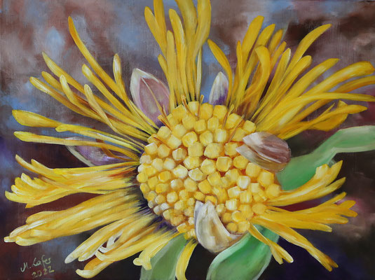 2022_Huflattich_60x80cm_Acryl_ungrundiertes Leinen_verfügbar