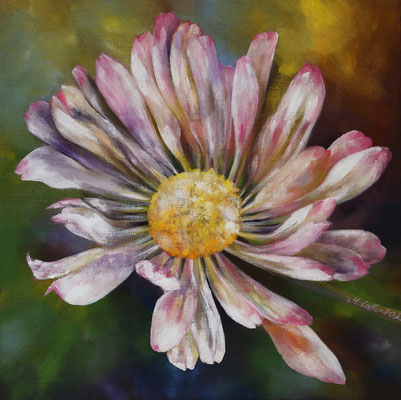 2022_Gänseblümchen_50x50cm_Acryl_ungrundiertes Leinen_verfügbar