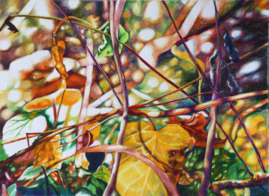 2025_Freiberg_24x32cm_Buntstift_Papier