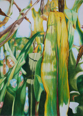 2025_Gleisdorf_39x29cm_Buntstift_Papier_verfügbar