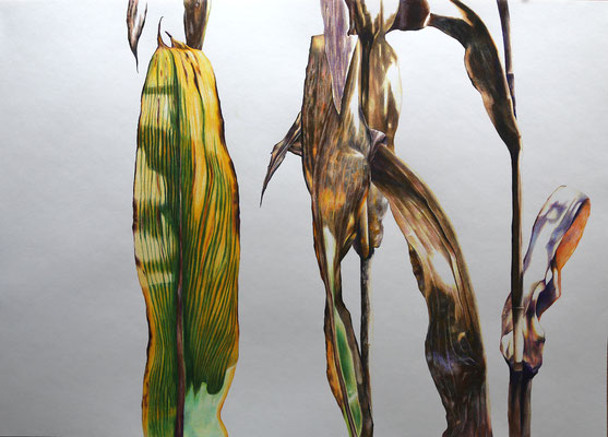 2026_Raabtal_50x70cm_Buntstift_Papier_verfügbar