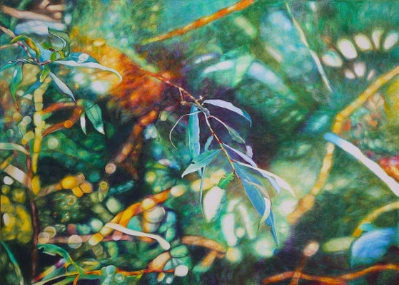 2025_Raabufer_50x70cm_Buntstift_Papier_verfügbar