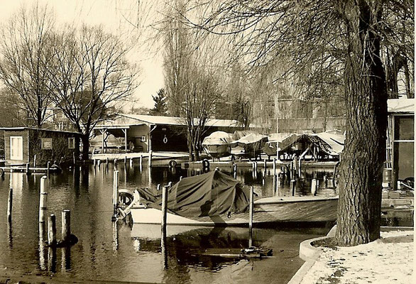 Winter am Pichelssee im Februar 1965