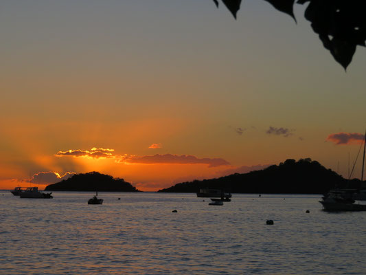 Croisière Tao - 01 2017-Malendure- Guadeloupe- Photo Danielle Ferré