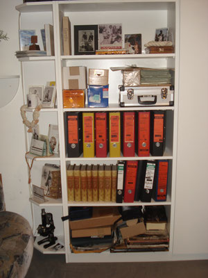 Glimpses of the collection