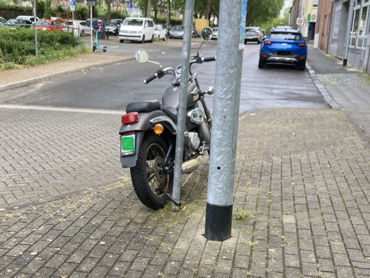 Kein Schwein ruft mich an, keine Sau interessiert sich für mich.