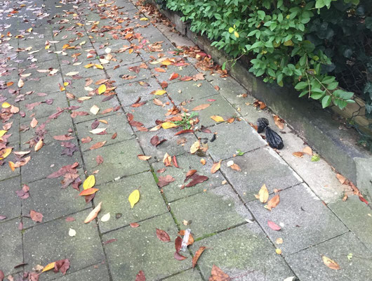 Sie sind allein? Rufen sie an.