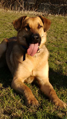 Leo