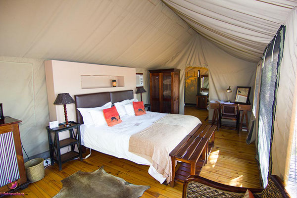 Buffelsdrift Game Lodge - Safari nahe Kapstadt