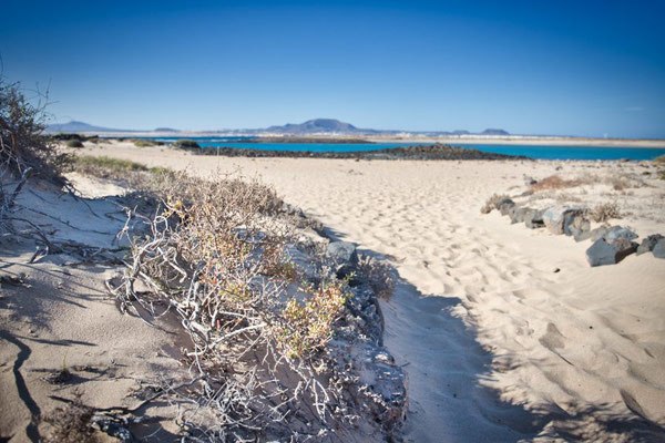 Insel Lobos bei Fuerteventura