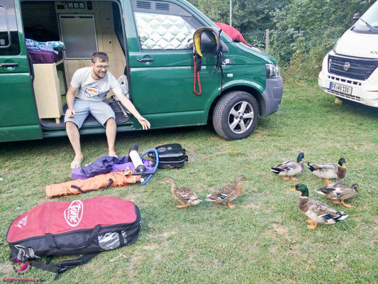 Camping mit dem VW Bus