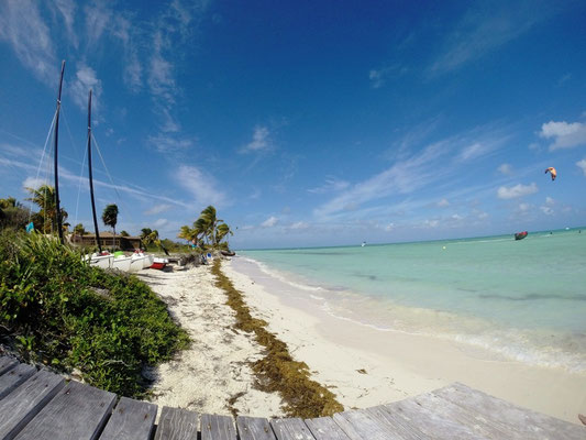 Strand auf Cayo Guillermo auf Kuba