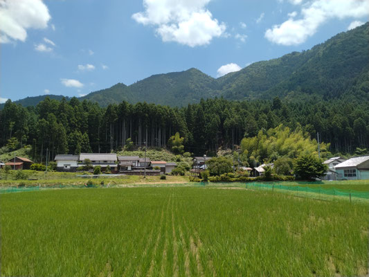 山国の里