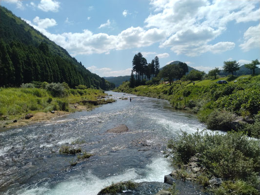桂川の清流