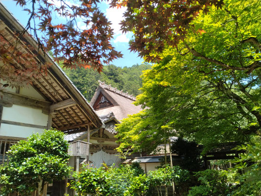 常照皇寺