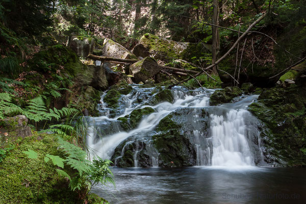 Harz