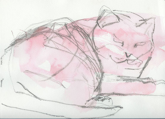 Katzenleben