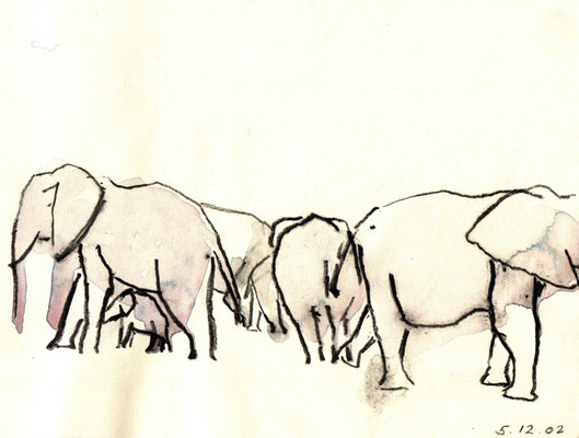 elephants