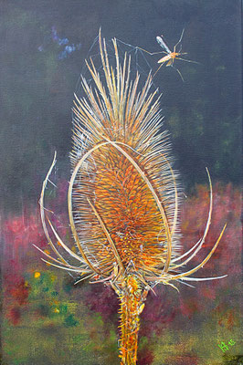 Karde im Herbst: 40x60cm