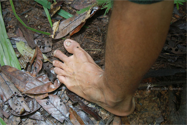 A piedi nudi nella Foresta Amazzonica