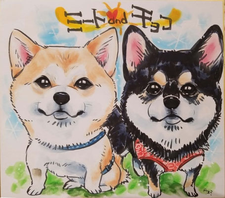 日比たえみ