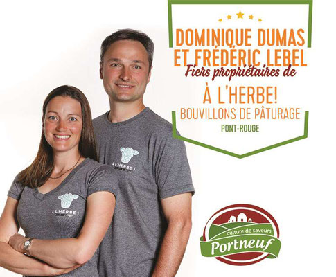 À l'Herbe-Bouvillons de pâturage.