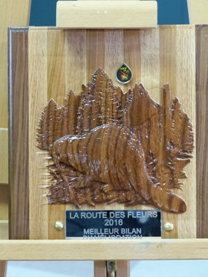 Plaque sculptée pour la municipalité présentant le meilleur bilan d'amélioration pour ses espaces publics, les voies d'accès à son territoire et tout projet faisant la promotion des valeurs de l'horticulture ornementale et de l'écologie.