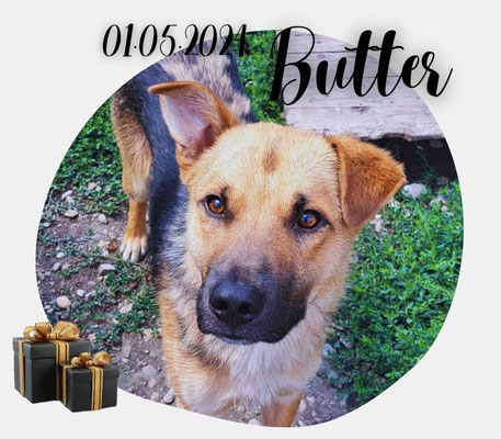Butter
