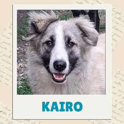 Kairo