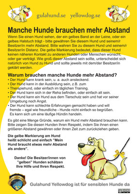 Flyer Deutsch