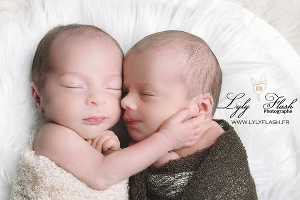 un bisous de jumeaux à la naissance  la séance photo jumeaux