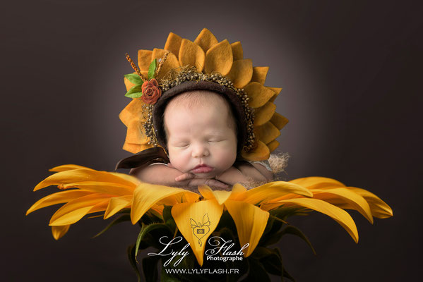 photo de naissance original d'un bébé a la naissance dans sa fleurs de tournesol la photo surprenante et artistique de la photographe Lyly flash à sa formation près de Toulon