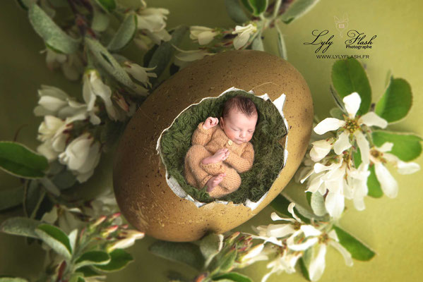petit bébé dans son oeuf de pâques une idée artistique pour célébrer une naissance