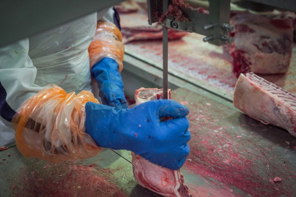 BladeStop Meat Bandsaw