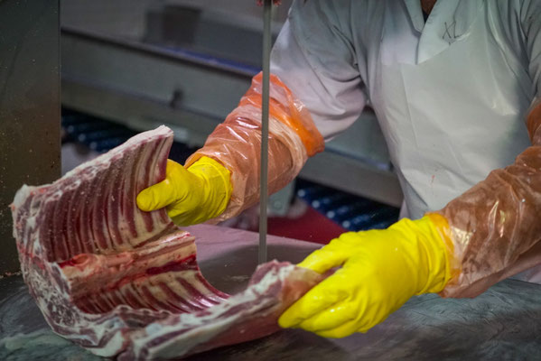 BladeStop Meat Bandsaw