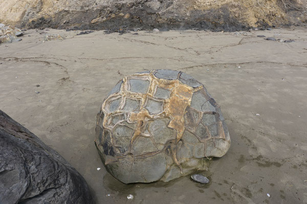 Moeraki Boulders