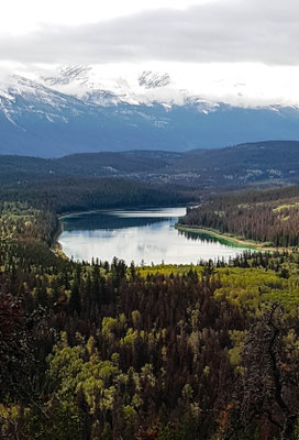 Wanderung im Jasper NP