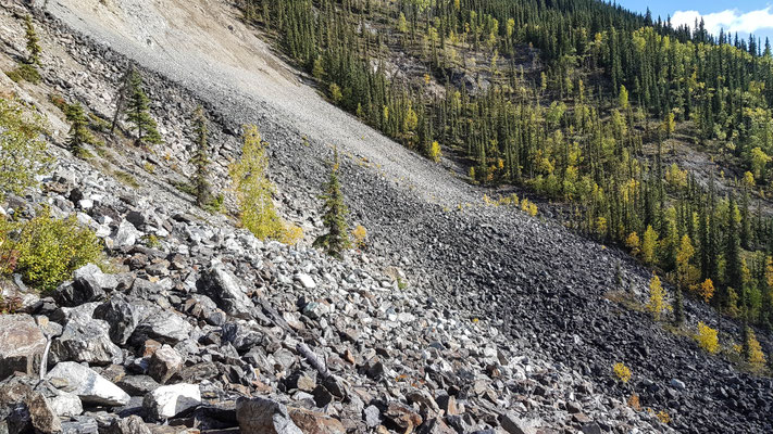 Kleine Wanderung auf einen Hügel bei Dawson City