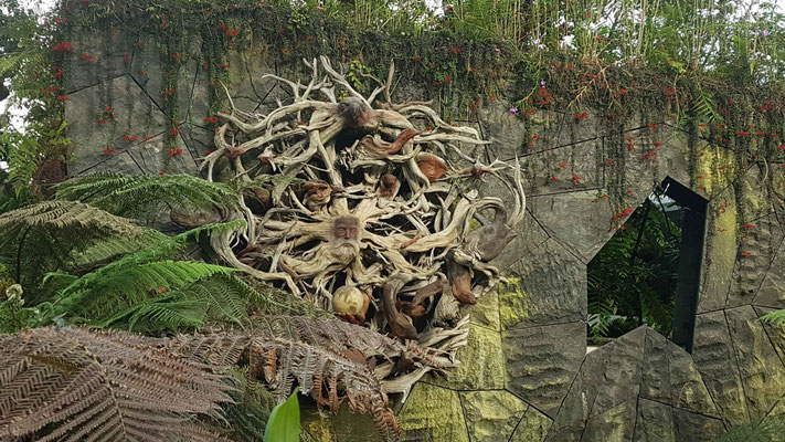 Gardens by the Bay