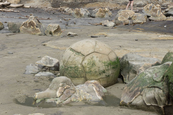 Moeraki Boulders