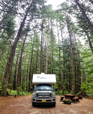 Mega cooler Campingplatz im Pacific Rim Nationalpark. Man fühlt sich ein bisschen wie in Jurassic World:)